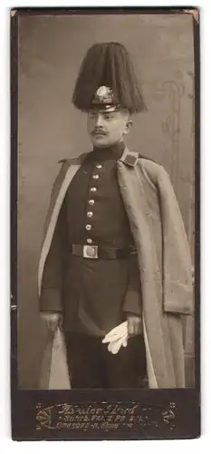 Fotografie Fritz Prügel, Dresden, Soldat in uniform mit Pickelhaube Sachsen & Paradebusch