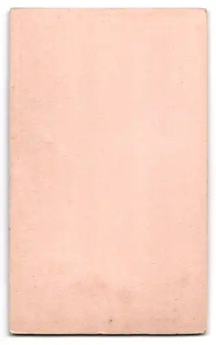 Fotografie Emil Thielemann, Potsdam, Husar in uniform mit Orden