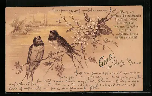 Künstler-AK Zwei Singvögel auf einem blühenden Zweig
