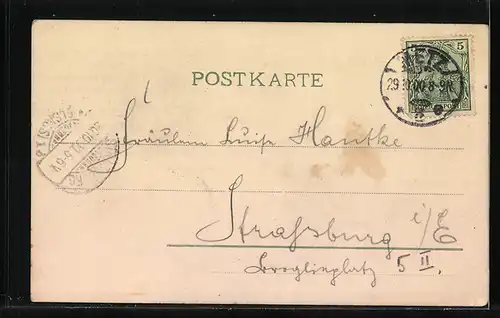 Künstler-AK Zwei Singvögel auf einem blühenden Zweig