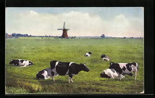 AK Kühe grasen vor Windmühle