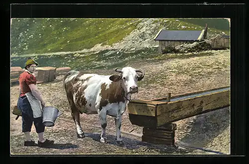 AK Almbäuerin mit Melkschemel und Milcheimer neben der Kuh