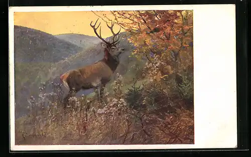 Künstler-AK Stattlicher Hirsch in herbstlicher Berglandschaft