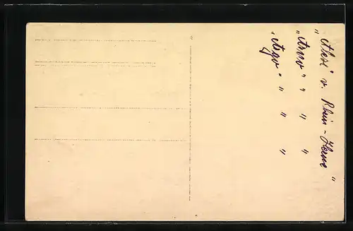 AK Drei weisse Kätzchen mit skeptischen Gesichtern