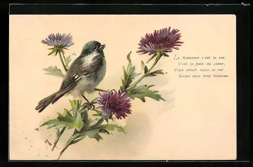 AK Spatz auf einer Blume