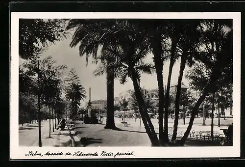 AK Lisboa, Avenida da Liberdade, Vista parcial