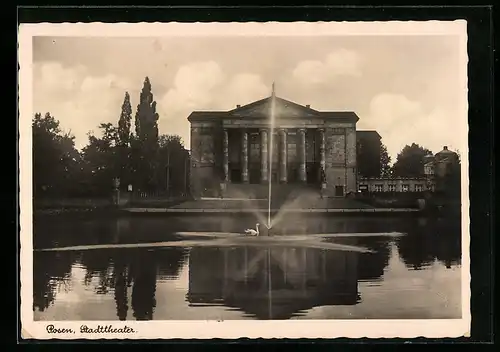AK Posen, Schwan vor dem Stadttheater