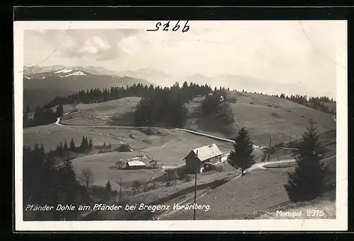 AK Bregenz /Vorarlberg, Pfänder Dohle am Pfänder