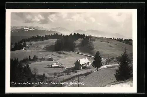 AK Bregenz /Vorarlberg, Pfänder Dohle am Pfänder