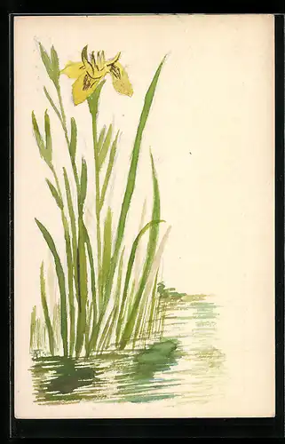 Künstler-AK Handgemalt: Gelbe Blumen am Seeufer
