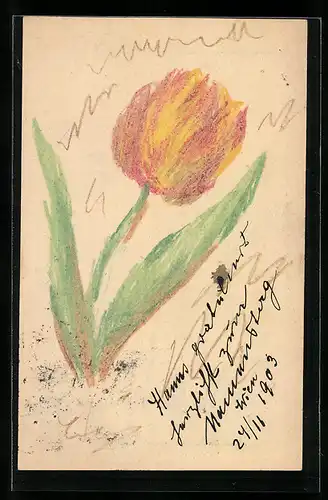 Künstler-AK Handgemalt: Gelb-rote Tulpe in Blüte