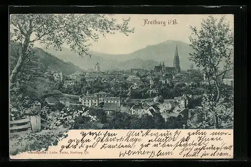 AK Freiburg i. Br., Totalansicht