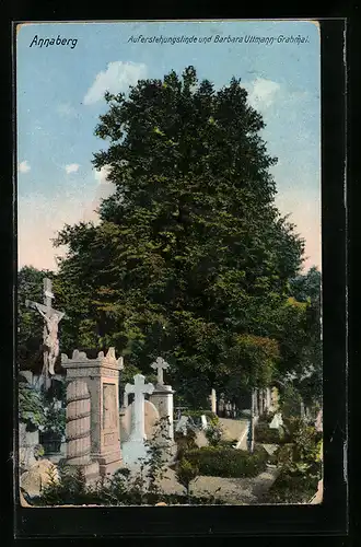 AK Annaberg, Auferstehungslinde und Barbara Uttmann-Grabmal
