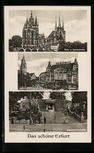 AK Erfurt, Anger, Dom u. Severikirche