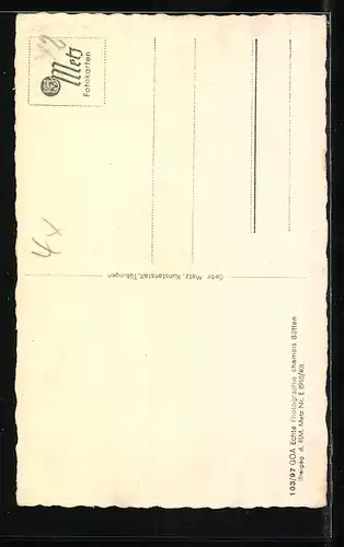 AK Lörrach, Ortsansicht mit Umgebung, Fliegeraufnahme