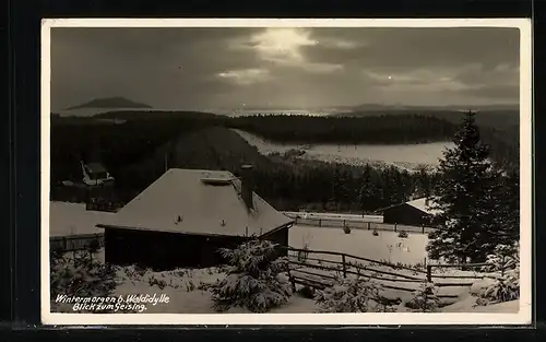 AK Landpoststempel Ripsdorf /Erzgeb.