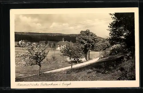 AK Landpoststempel Falkenahin über Dippoldiswalde