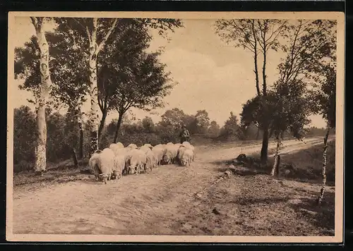 AK Landpoststempel Betzendorf Lüneburg Land