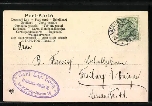 AK Berlin-Tiergarten, Partie vom Reichstagsgebäude