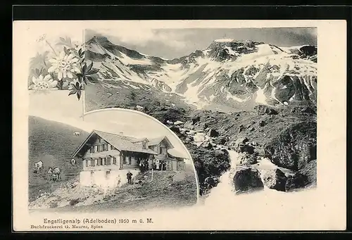 AK Adelboden, Pension Engstligenalp mit Kühen, Panorama