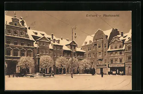 AK Erfurt, Fischmarkt mit Cafe Roland im Winter