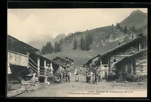 AK Taveyannaz /Gryon, Chalets de Taveyannaz