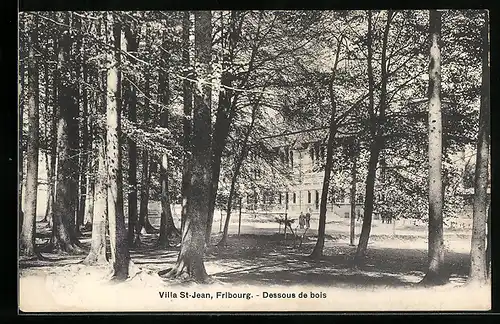 AK Fribourg, Villa St-Jean, Dessous de bois