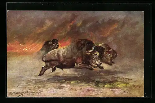 Künstler-AK M. Müller jun.: Bisons /Wisente flüchten vor der Feuersbrunst