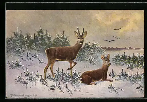 Künstler-AK M. Müller jun.: Rehe im Schnee