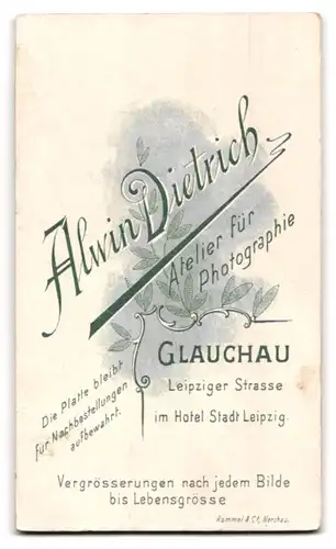 Fotografie Alwin Dietrich, Glauchau, Leipziger Strasse, Elegant gekleideter Herr mit Schnauzbart