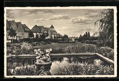AK Elbing, Rosengarten mit Blick auf Häuser