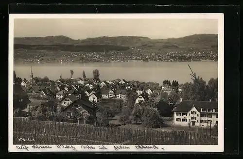 AK Erlenbach, Panorama mit Seepartie