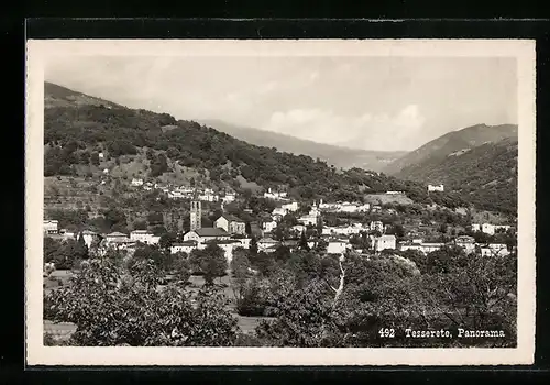 AK Tesserete, Panorama mit Wald