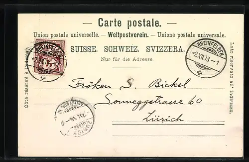 Mondschein-AK Rheinfelden, Uferpartie