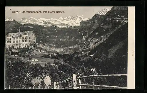 AK Oberrickenbach, Panorama mit Hotel Brisen und Gämsen