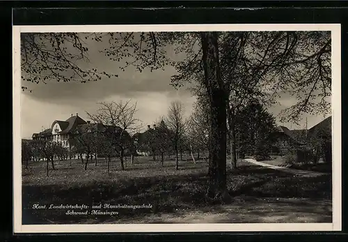 AK Münsingen, Strassenpartie zur Kant. Landwirtschaftl.- & Haushaltungsschule Schwand