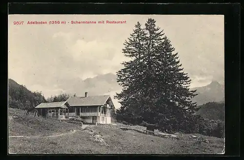 AK Adelboden, Schermtanne mit Restaurant