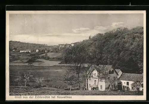 AK Neuweilnau / Taunus, Totale mit Pension Erbismühle