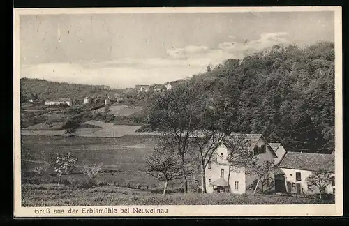 AK Neuweilnau / Taunus, Totale mit Pension Erbismühle