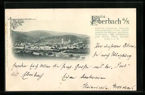 AK Eberbach a. N., Gesamtansicht