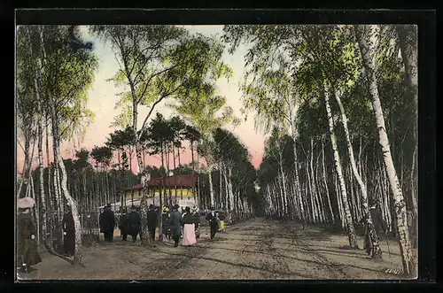 AK Grünau /Mark, Strasse am Birkenwäldchen mit Gebäude und Ausflüglern