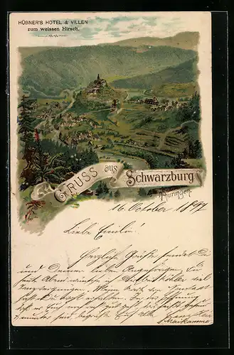 Lithographie Schwarzburg /Thür., Ortsansicht mit Umland