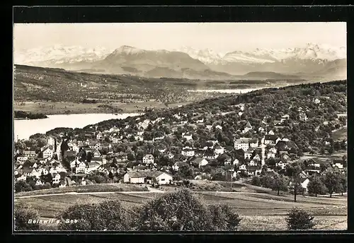 AK Beinwil am See, Gesamtansicht mit Alpenpanorama