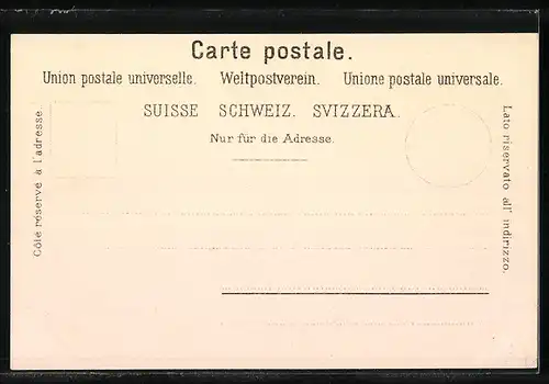 AK Zürich, Zürichhorn, Brücke