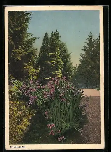 AK Rheinfelden, Solbad-Pension Eden, v. K. Rupprecht, Im Edengarten