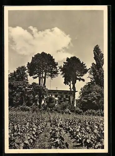 AK Chardonne-s-Vevey, Hotel Belle-Vue