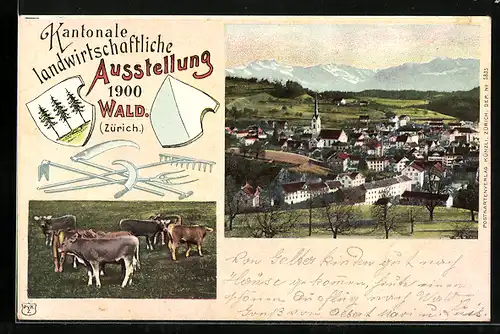 AK Wald, Kantonale Landwirtschaftliche Ausstellung 1900, Ort & Kühe