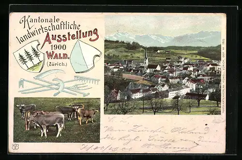 AK Wald, Kantonale Landwirtschaftliche Ausstellung 1900, Ortsansicht, Kühe