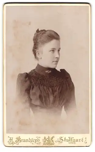 Fotografie Hermann Brandseph, Stuttgart, Marienstr. 36, Junge Dame im Kleid mit Kragenbrosche