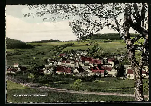 AK Laubach im Taunus, Ortsansicht